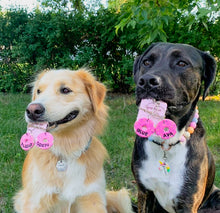Load image into Gallery viewer, All- Clay Customized Pet Tag or Keychain
