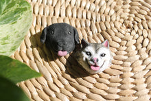 Load image into Gallery viewer, Magnets (Custom Pet, Floral and Plants)