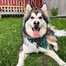 Load image into Gallery viewer, Dragon Egg Pet Id Tag