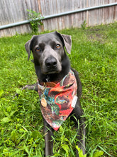 Load image into Gallery viewer, Dragon Egg Pet Id Tag